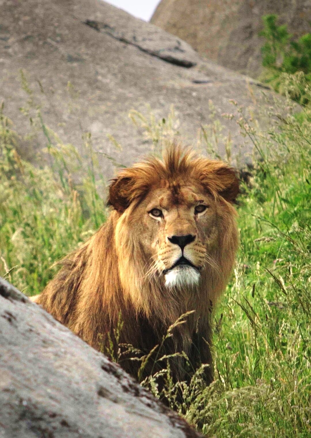 Leeuw Wildlands